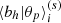 $ \langle b_{h}|\theta_{p}\rangle^{(s)}_{i} $