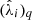 $ (\hat{\lambda}_{i})_{q} $