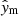 $ \hat{\mathit{y}}_{\mathrm{m}} $