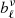 $ b_{\ell}^{\nu} $
