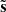$ \tilde{\mathbf{s}} $
