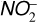 $\[\mathrm{NO}_2^{-}\]$