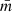 $ {\bar{m}} $