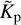 $\[\tilde{K}_{\mathrm{p}}\]$