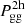 $ P_{\mathrm{gg}}^{\mathrm{2h}} $