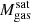 $ M_{\mathrm{gas}}^{\mathrm{sat}} $