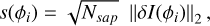 $\s\left(\phi_i\right)=\sqrt{N_{\text {sap }}}\left\|\delta I\left(\phi_i\right)\right\|_2,\]$