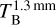 $T_{\rm{B}}^{1.3{\rm{mm}}}$