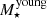 $ M_{\star}^{\mathrm{young}} $