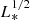 $ L_{*}^{1/2} $
