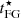 $ t_{\rm FG}^\star $