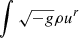 $ \int \sqrt{-g} \rho u^r $