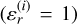 $\left( {\varepsilon _r^{(i)} = 1} \right)$