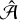 $\[\hat{\mathcal{A}}\]$