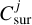 $C_{{\rm{sur}}}^j$