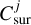 $C_{{\rm{sur}}}^j$