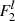 $ F^l_{{2}} $