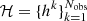 $ \mathcal{H}=\lbrace h^{k} \rbrace_{k=1}^{N_{\rm obs}} $