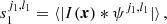 $$ \begin{aligned} s_1^{j_1, l_1}&= \langle |I(\boldsymbol{x}) * \psi ^{j_1, l_1}|\rangle \, , \end{aligned} $$