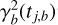 $\gamma _b^2({t_{j,b}})$