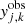 $ {\it y}_{j,k}^\text{obs} $