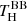 $ T^{\mathrm{BB}}_{\mathrm{H}} $