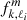 $ f_{k,\ell_i}^m $