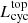 $ L_{\mathrm{cyc}}^{\mathrm{top}} $