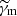 $ \widetilde{\gamma}_{\mathrm{m}} $