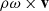 $ \rho {\mathbf\omega} \times \mathbf{v} $