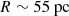 $ R\sim55\rm\ pc $