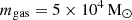 $ m_{\mathrm{gas}} = 5\times10^4\,\rm M_\odot $