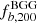 $ f^{\mathrm{BGG}}_{b,200} $