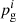 $ p_{\mathrm{g}}^{i} $