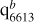 $\[\mathrm{q}_{6613}^b\]$