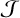 $\[\mathcal{J}\]$