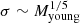 $ \sigma\sim M^{1/5}_{\mathrm{young}} $