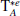 $ {\rm T}_{A}^{*e} $