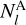 $N_l^{\rm{A}}$