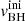 $ v_{\mathrm{BH}}^{\mathrm{ini}} $