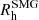 $ R_{\mathrm{h}}^{\mathrm{SMG}} $