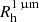 $ R_{\mathrm{h}}^{1\,{\upmu}\mathrm{m}} $