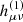 $ h^{(1)}_{\mu \nu} $