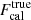 $ F_{\mathrm{cal}}^{\mathrm{true}} $