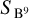 ${S_{{{\rm{B}}^9}}}$