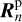 $R_n^{\rm{p}}$