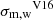 $ {\sigma_{\mathrm{m,w}}}^{\mathrm{V16}} $