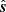$ \hat{\boldsymbol{s}} $