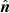 $ \hat{\boldsymbol{n}} $
