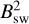 $B_{{\rm{sw}}}^2$